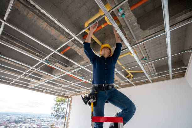Best Local Plumber Services  in Mcallen, TX