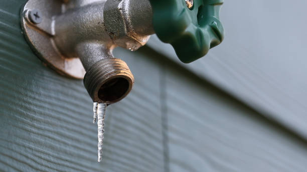 Best Plumbing Inspection Services  in Mcallen, TX